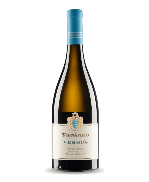 INCROCIO BRUNI 54 Versus